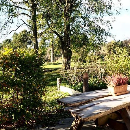 Latterly Rooms Silkeborg Exterior foto